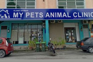 Klinik Haiwan PETS