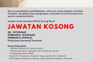 Klinik Kucing Desa