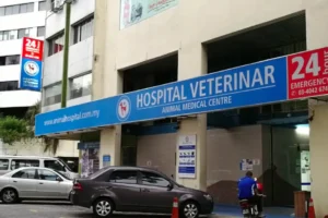 klinik veterinar di 24 jam shah alam, Malaysia