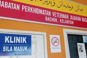 klinik veterinar di bachok, Malaysia