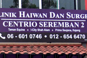 klinik veterinar di bandar saujana putra, Malaysia
