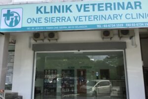 klinik veterinar di batu caves, Malaysia