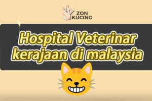 klinik veterinar di bintulu, Malaysia