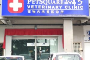 klinik veterinar di bukit mertajam, Malaysia