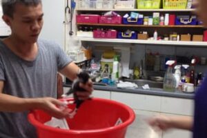 klinik veterinar di damai, Malaysia