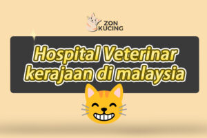 klinik veterinar di jawi, Malaysia