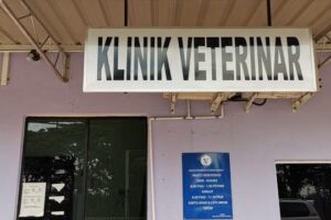 klinik veterinar di keningau, Malaysia