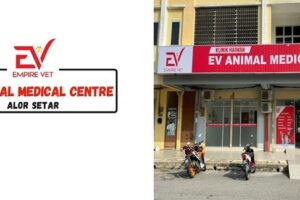 klinik veterinar di kuala kedah, Malaysia