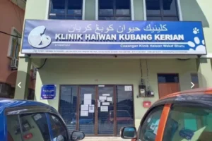klinik veterinar di kubang kerian, Malaysia