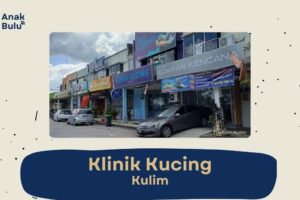 klinik veterinar di kulim kedah, Malaysia