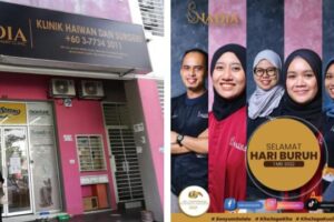 klinik veterinar di nadia subang bestari, Malaysia