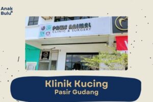 klinik veterinar di pasir mas, Malaysia