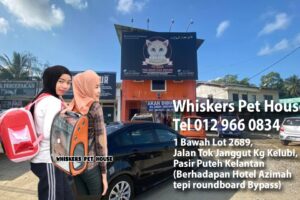 klinik veterinar di pasir puteh, Malaysia