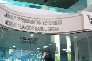 klinik veterinar di saujana utama, Malaysia