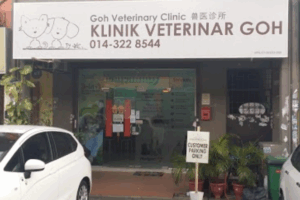 klinik veterinar di & surgeri goh, Malaysia