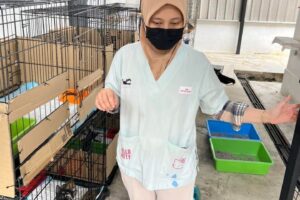Klinik Veterinar Maya