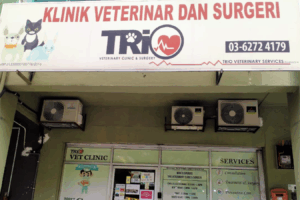 trio veterinary clinic & surgery klinik veterinar di trio, Malaysia
